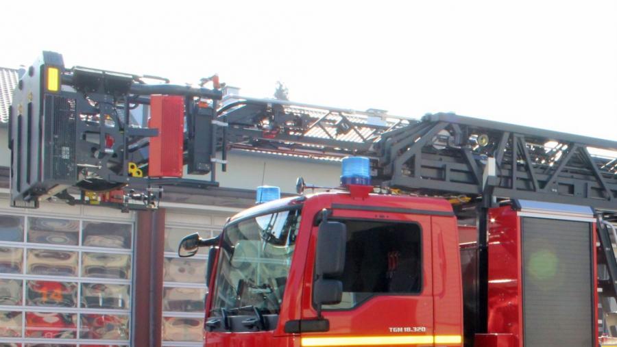 Maleńkie wiewiórki wypadły z dziupli. Strażacy się nimi zaopiekowali