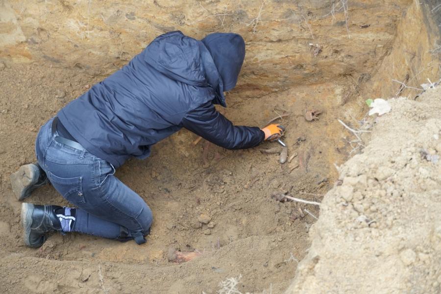 IPN szuka rodziny Władysława Wójcika. „Potrzebne geny do porównania
