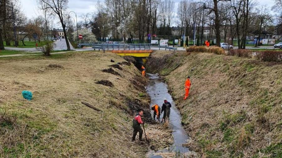 Galeria Radomsko zmienia oblicze: powstaje kwietna łąka i pływająca wyspa