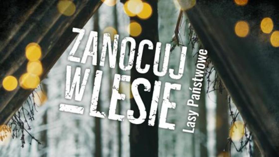 „Zanocuj w lesie” to program Nadleśnictwa Radomsko. Rusza już 1 maja