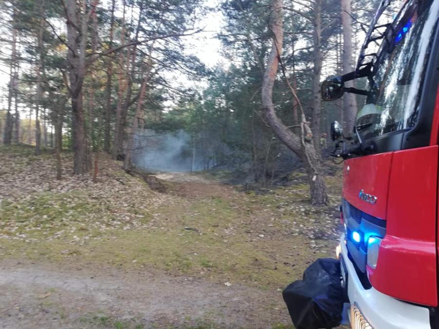 Trzy zastępy gasiły pożar lasu przy drodze z Kobiel do Żytna
