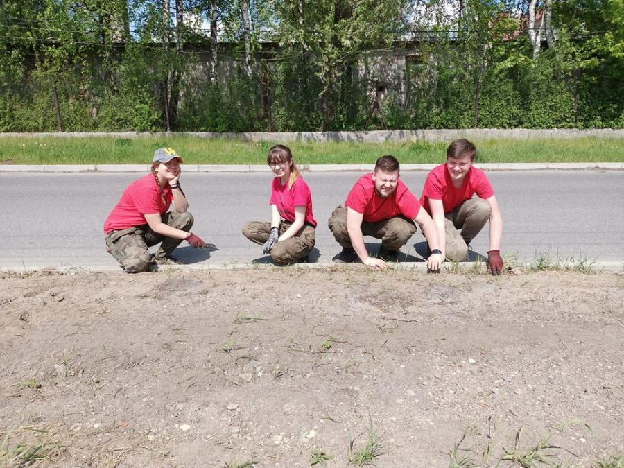 Radomszczańska kwietna łąka na finiszu. Dzięki pracy harcerzy z 40 RDW 