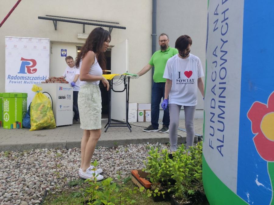 Tylko 10 puszek za sadzonkę. Chętnych i drzewek na taką wymianę nie brakuje