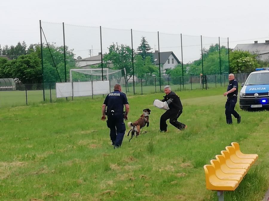 Omo, policyjny pies, na rodzinnym pikniku w Gorzędowie w gminie Kamieńsk