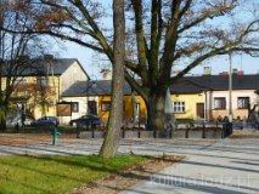 Jechał samochodem bez zapiętego pasa. Na skutek kolizji doznał obrażeń