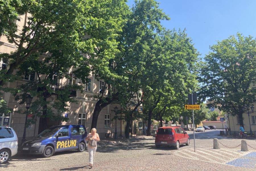 Andrysiak: Zamiast Budapesztu w Warszawie, zróbmy sobie Łowicz w Radomsku