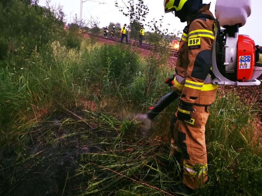 Strażacy z Kamieńska gasili leśne poszycie i nieużytki przy torach
