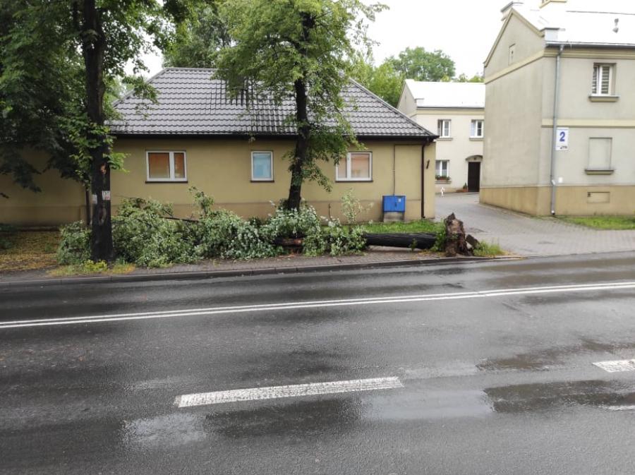 [WIDEO] Jedna osoba ranna, prawie 120 interwencji - to skutki wieczornej burzy