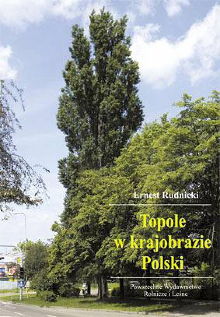Monografia 