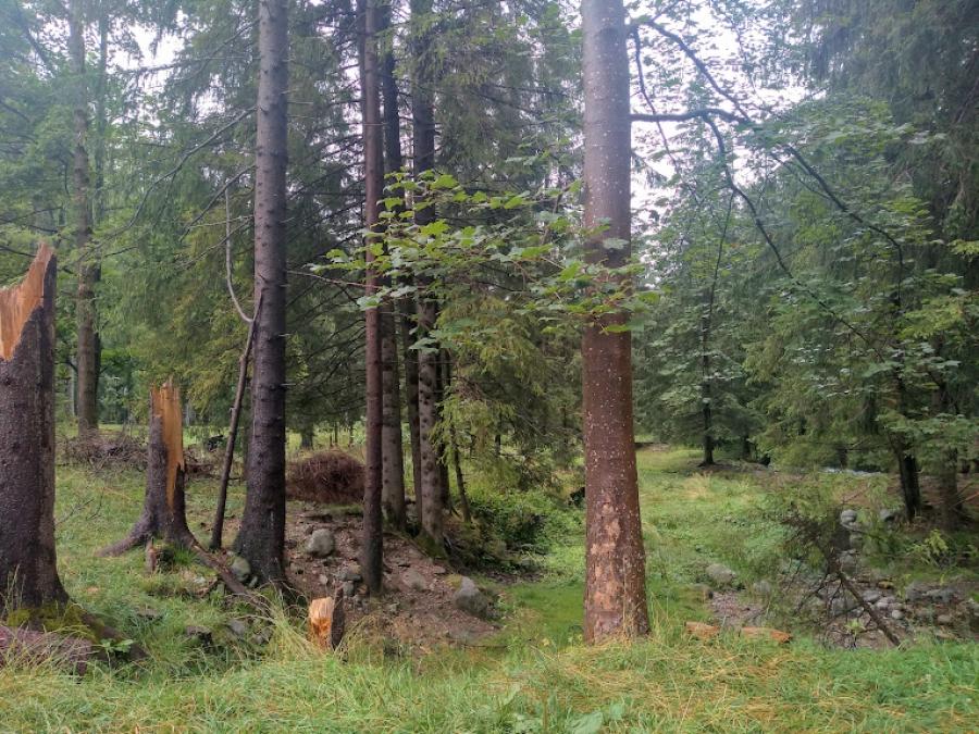 Wakacyjny trekking z MOSiR: od Fajnej Ryby przez Kozłową, po Bukową Górę
