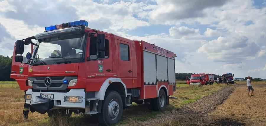 Szerszenie i pożar ścierniska, zagrożony był las. Strażacy mieli co robić