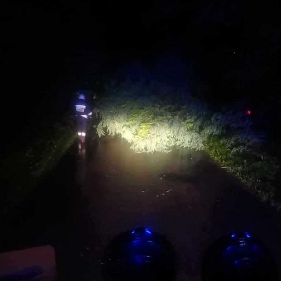 Strażacy usuwali drzewo, które zablokowało drogę w Woli Życińskiej