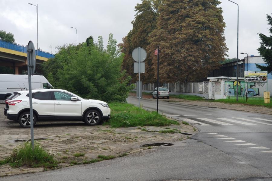 Krzak wańka-wstańka zasłania kierowcom drogę. „Przytną, jak im ktoś przypomni