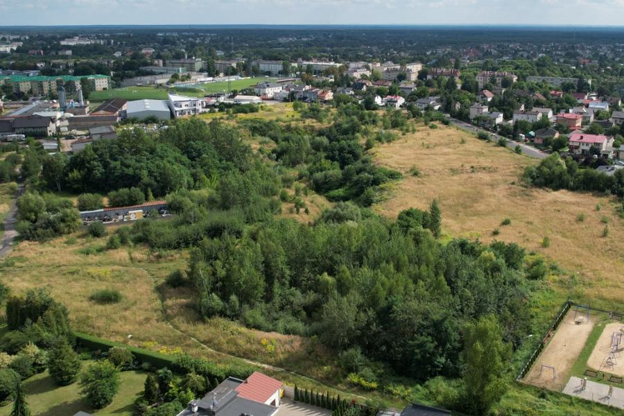 Glinianki: projekt bez zmian. Będzie wycinka. Które drzewa zostaną, zdecyduje się w trakcie
