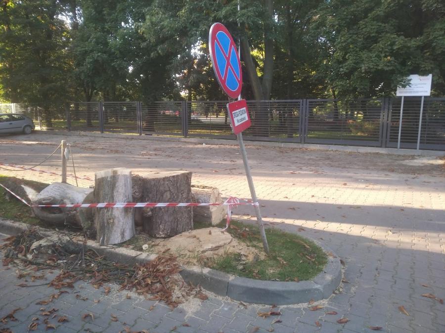 Przed MDK wycięto drzewo. Dlaczego? - pyta czytelnik. Sprawdziliśmy