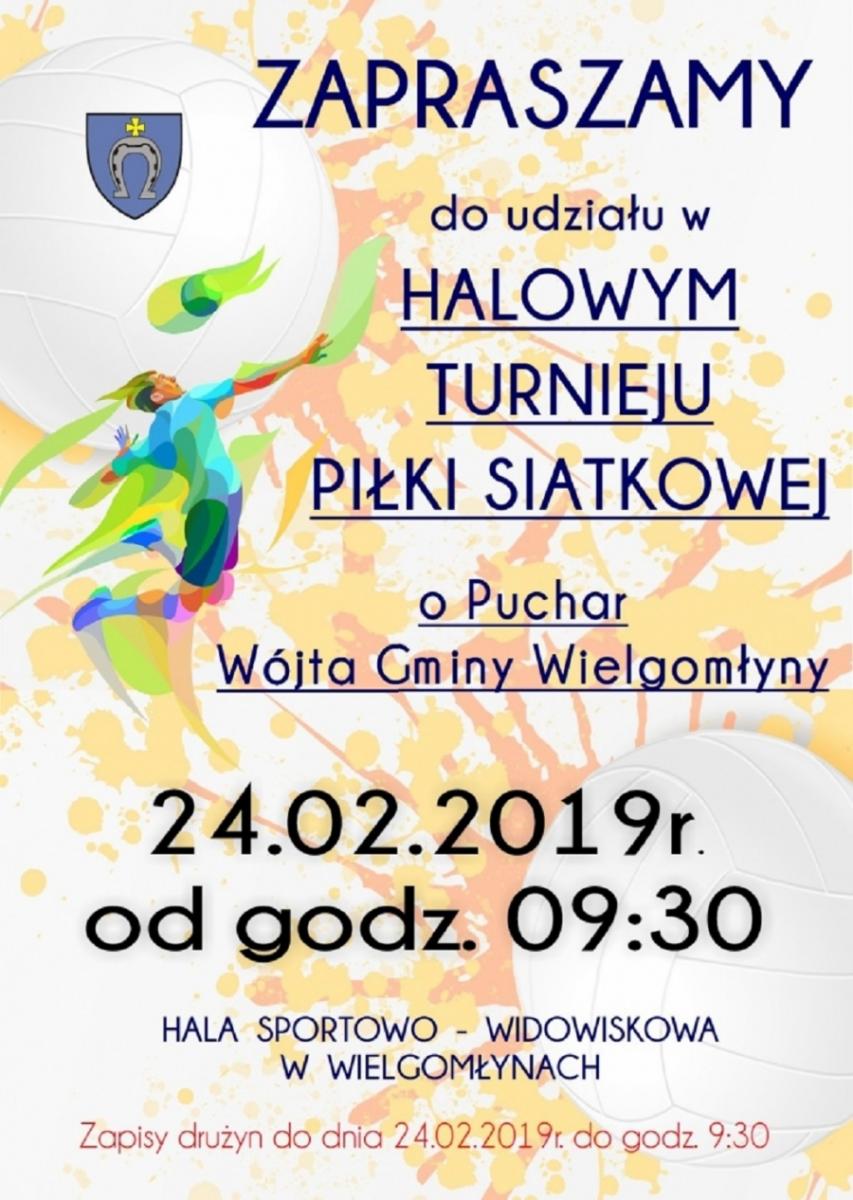 Turniej piłki siatkowej o Puchar Wójta Gminy Wielgomłyny, trwają zapisy