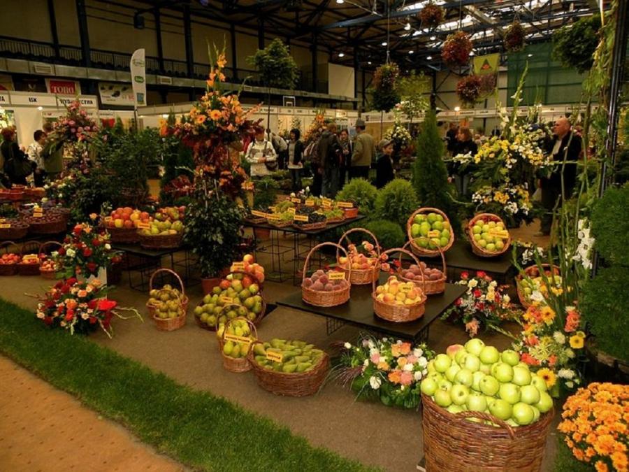Sulmierzyce: Targi Rolno-Ogrodnicze. Zapisy do 15 marca