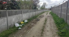 Czytelnik: - Idę, patrzę na to i się zastanawiam, czy my jesteśmy narodem śmieciarzy? Ludzie jeszcze się nie nauczyli? Przecież za to płacą