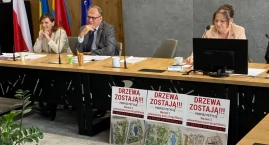 Radni odesłali petycję „Drzewa zostają