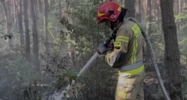 [WIDEO] Strażacy pokazują, jak gasi się podpalony las. W tym roku mają takich wyjazdów o cztery razy więcej niż w 2023
