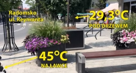 Pod drzewem 29 stopni, dwadzieścia metrów dalej na betonie - 45. Zmierzyliśmy temperaturę na Reymonta