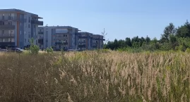 Mleczarnia nie chce bloków za miedzą. „Zamierzamy zrobić wszystko, żeby do tej inwestycji nie doszło