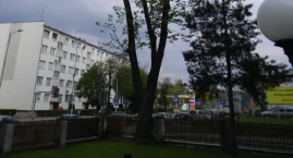 Ernest Rudnicki: - Te drzewa są w takim stanie, że musimy je wyciąć. Chodzi o bezpieczeństwo