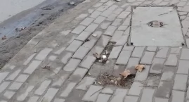 Czytelniczka: - W styczniu kopali w tym chodniku, pewnie coś naprawiali. Skończyli, położyli kostkę z powrotem, dzisiaj można tam złamać nogę