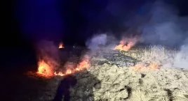 Sezon na bezsensowne i nielegalne wypalanie traw rozpoczęty. Strażacy wyjeżdżają raz za razem