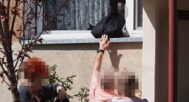 Wojna domowa pod jednym dachem. „Miałam mieć dożywotnią opiekę od córki, nie mam ani mieszkania, ani pieniędzy