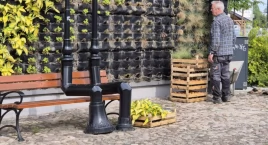 Temat zielonych ścian na Reymonta wciąż żywy. W przeciwieństwie do niektórych roślin...