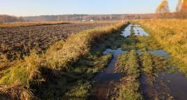 Urząd: Jak się pan wybudował w polu, to drogi nie będzie