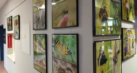 Schyłek Osterloffa? „Tam zostało dosłownie kilka osób. Nikogo nie obrażając, ale raczej już starszych niż młodych