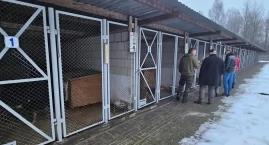 Radni zaglądają za schroniskowe kraty. Sprawdzają, czy zwierzakom w Radomsku nie brakuje opieki
