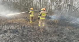Sezon na wypalanie traw rozpoczęty. Strażacy gasili pierwsze dwa, w gminach Radomsko i Gidle