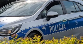 Mężczyzna wszedł na słup energetyczny. Wezwano służb&hellip;