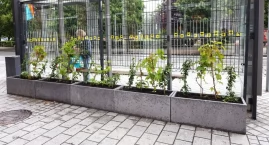 Miasto posadziło bluszcz przy wiatach przystankowych&hellip;