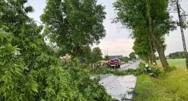 Najpierw upał, teraz silny wiatr i burza. Strażacy j&hellip;