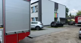 Szerszenie założyły gniazdo na placu zabaw przy szko&hellip;
