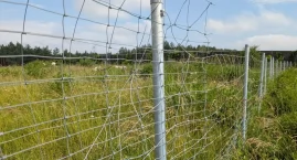 Uwaga choroba, przejścia (dla zwierząt) nie ma. A ko&hellip;