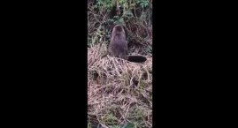 [WIDEO] Czytelniczka: - Ludzie się zatrzymywali i mó&hellip;