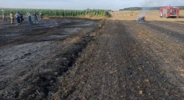 W Myśliwczowie w gminie Wielgomłyny spłonęło 6 ha terenu. W akcji wzięło udział 6 zastępów straży
