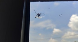 Sąsiad strzela prosto w okna. „Policjant co prawda spisał zeznania, ale potem poradził, żebym je wycofała
