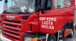 Wiewiórów, gmina Dobryszyce. Pożar sadzy w kominie jednego z domów. Na miejscu trzy jednostki