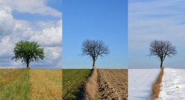 Zespół Szkół Ekonomicznych zaprasza do siódmej edycji konkursu fotograficznego 