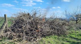 Dyżurny otrzymał informację: W Przydatkach Przybyszowskich pali się sucha trawa 