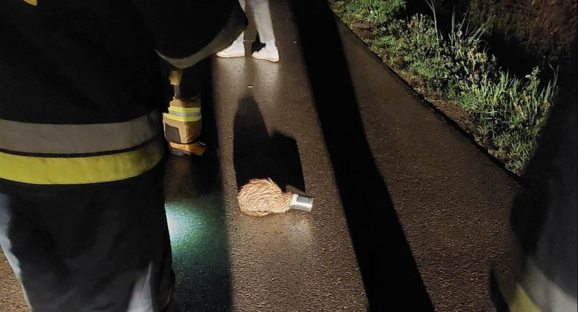 Ratowali kota z puszką na głowie