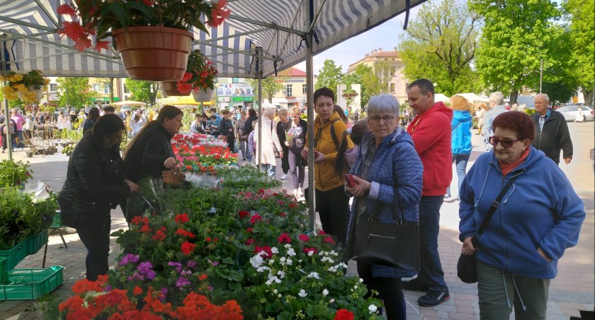 Zielono, kwietnie i wesoło - w sobotę Rynek żył