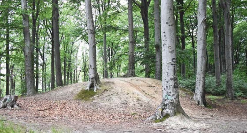Wiceburmistrz zwróci się do IPN