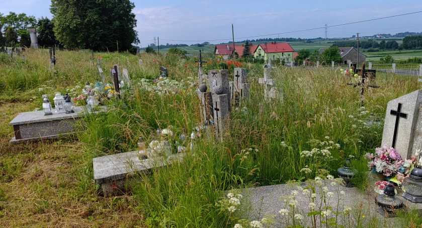 Zbezcześcił grób, usłyszy zarzuty
